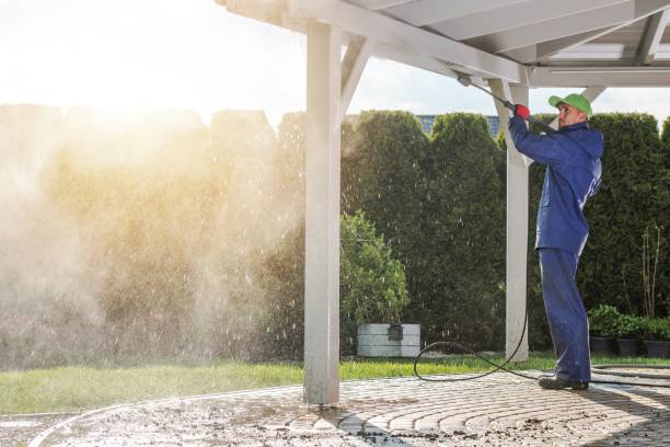 Best Animal Enclosure Cleaning  in China Lake Acres, CA