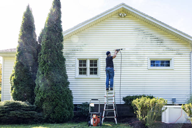 Best Dumpster Area Cleaning  in China Lake Acres, CA